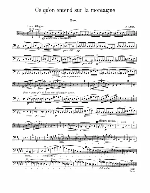 Basses