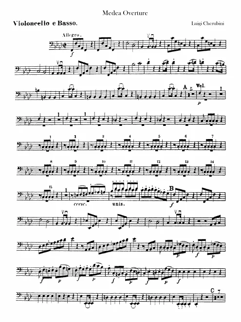 Cellos / Basses