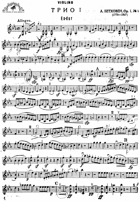 Violin