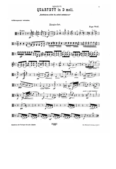 Viola