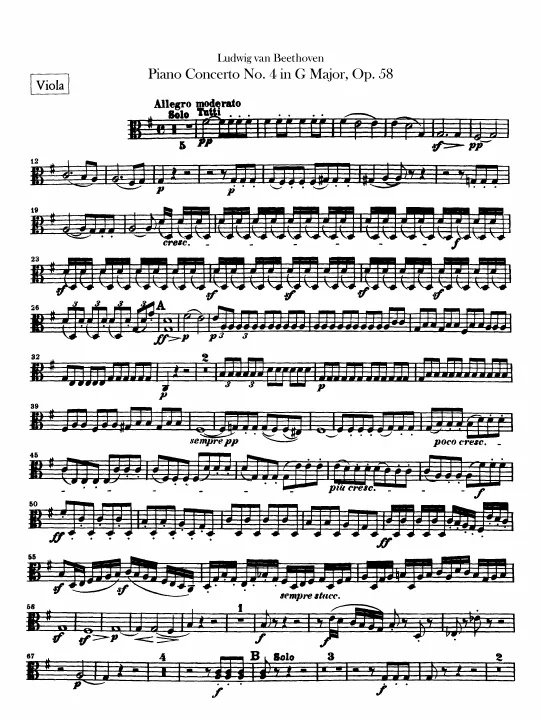 Violas