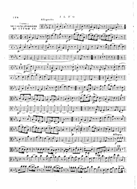 Viola