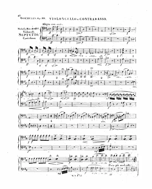 Cello and Double Bass