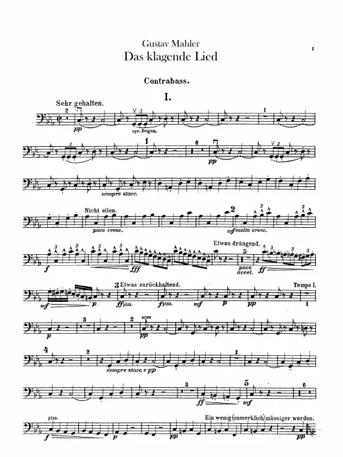 Basses