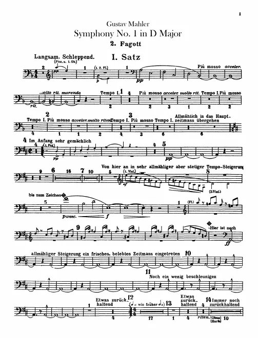 Bassoon 2