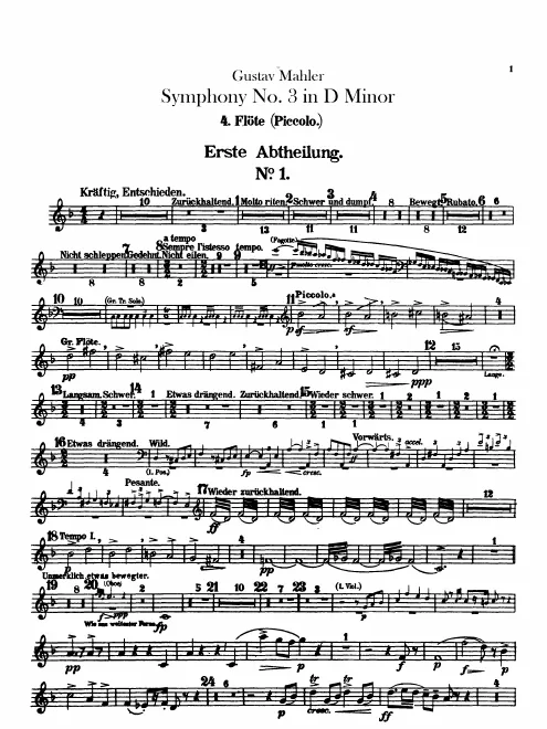 Flute 4/Piccolo 4