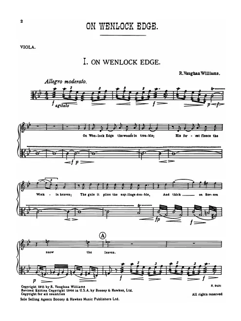 Viola