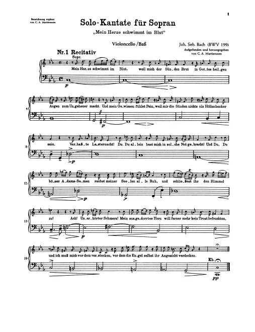 Cellos/Basses