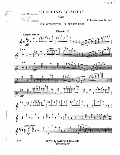 Flute 1