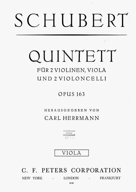Viola