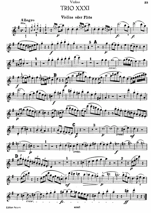 Violin