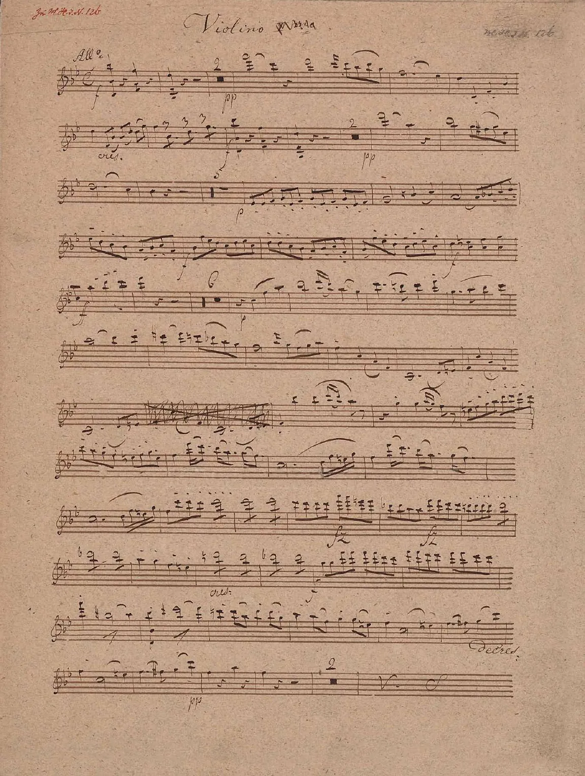 Violin