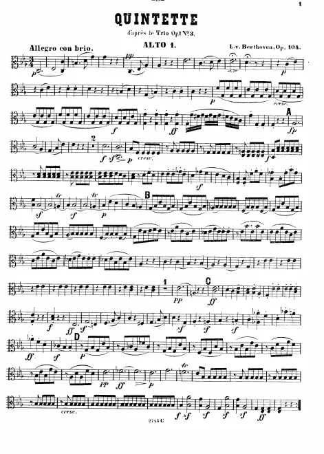 Viola 1