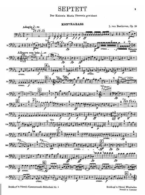 Double Bass