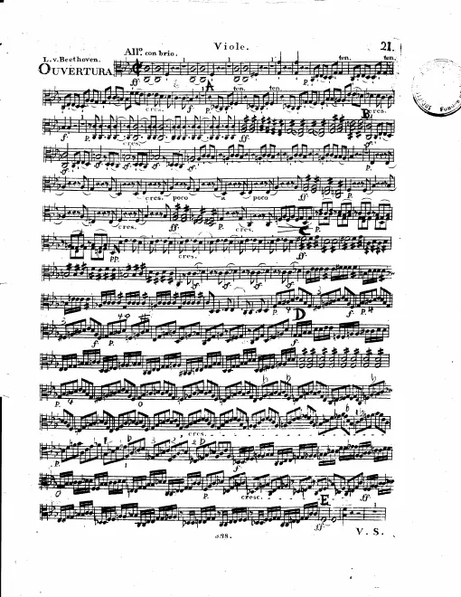 Violas