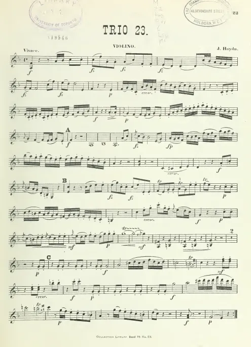 Violin