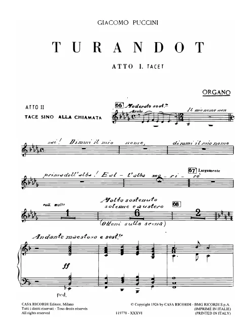 Organ
