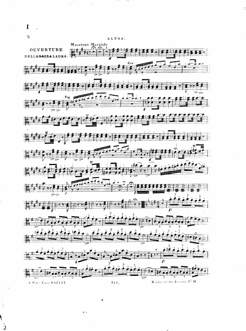 Violas