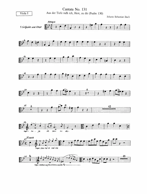 Violas I