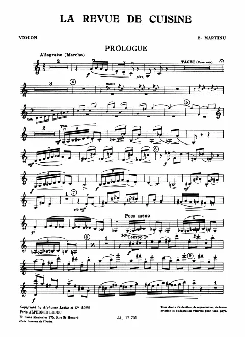 Violin
