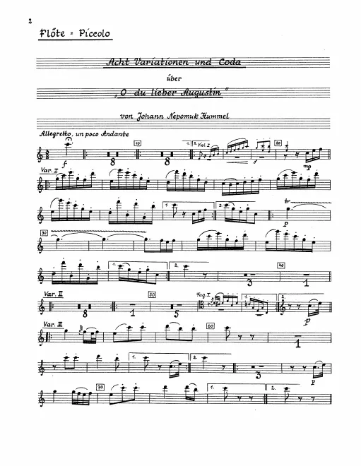 Flute/Piccolo