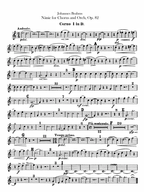 Horn 1, 2 (D)