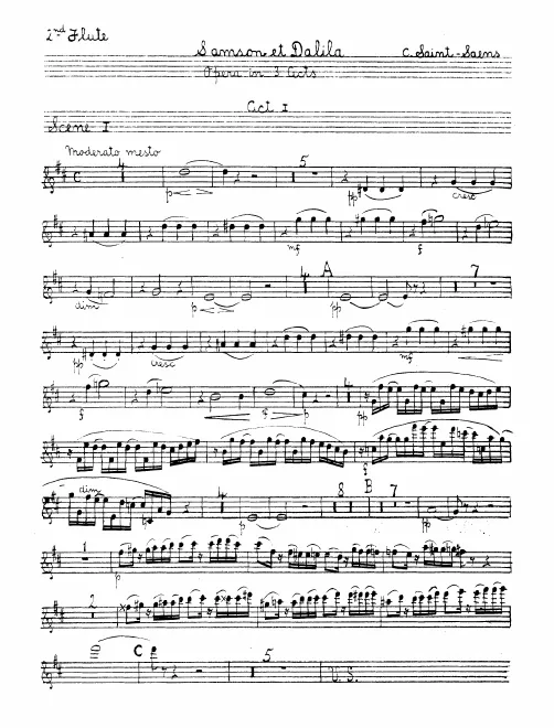 Flute 2