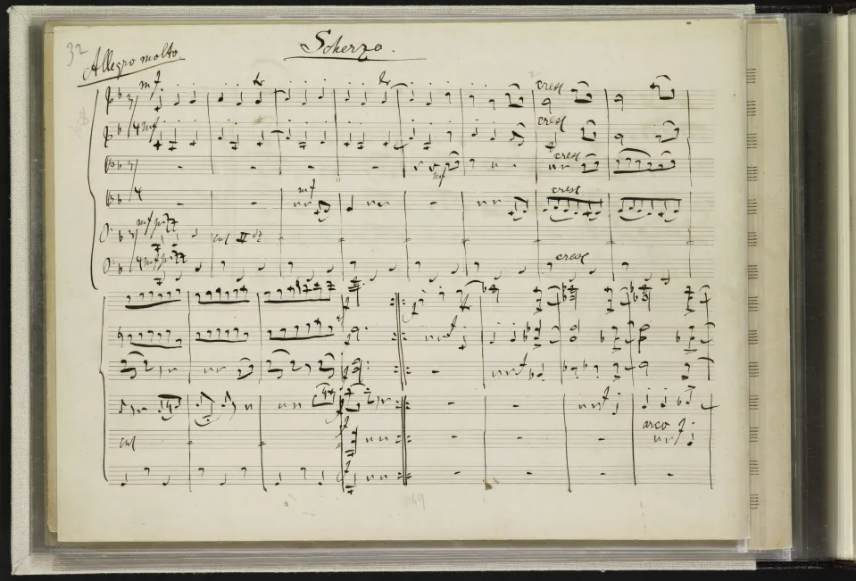 3. Scherzo. Allegro molto