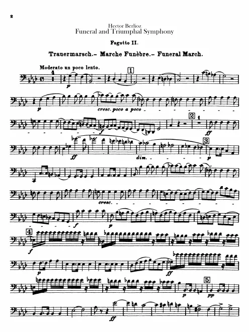Bassoon 2