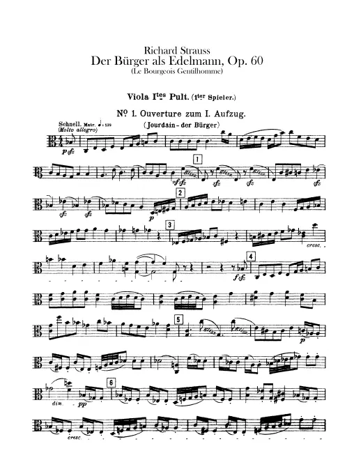 Viola 1 (Player 1)