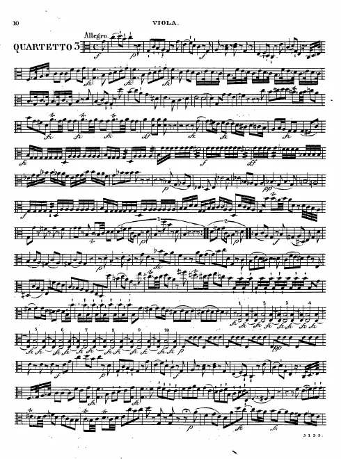 Viola