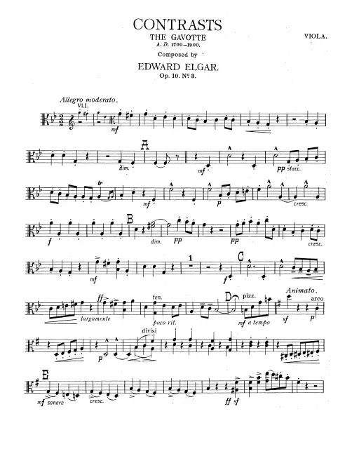 Violas