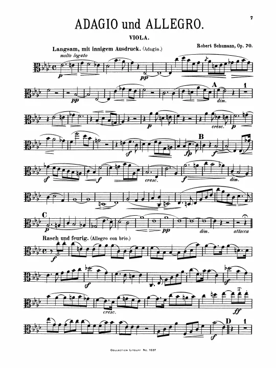 Viola