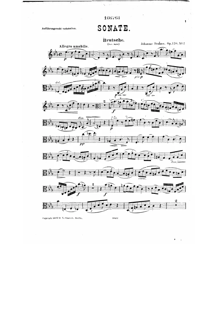 Viola