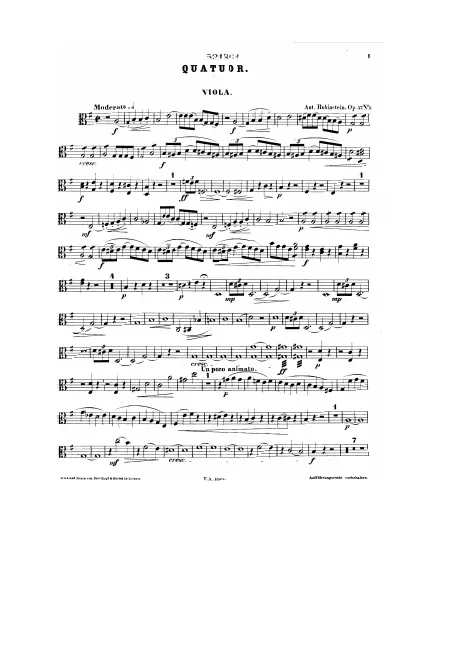 Viola