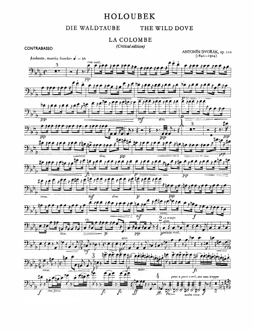 Basses