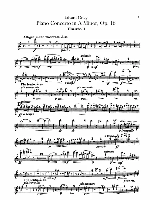 Flute 1