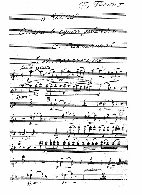 Flute 1