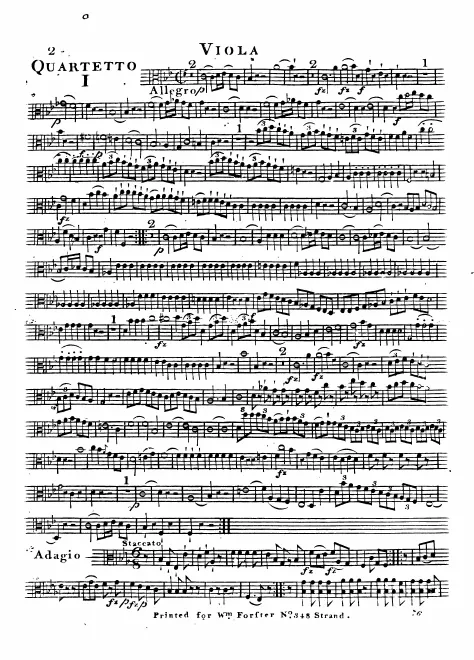 Viola