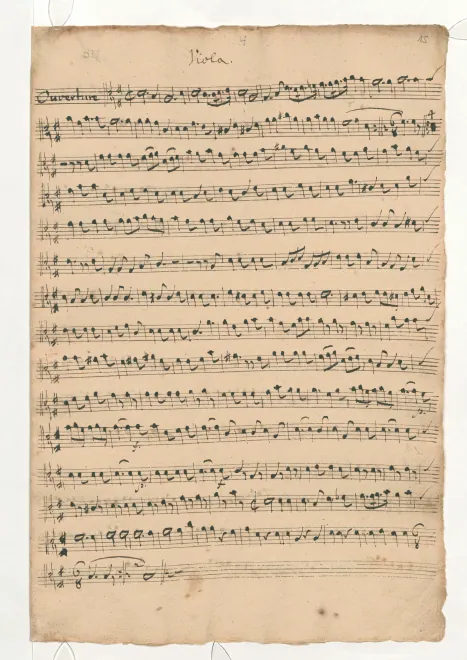 Violas