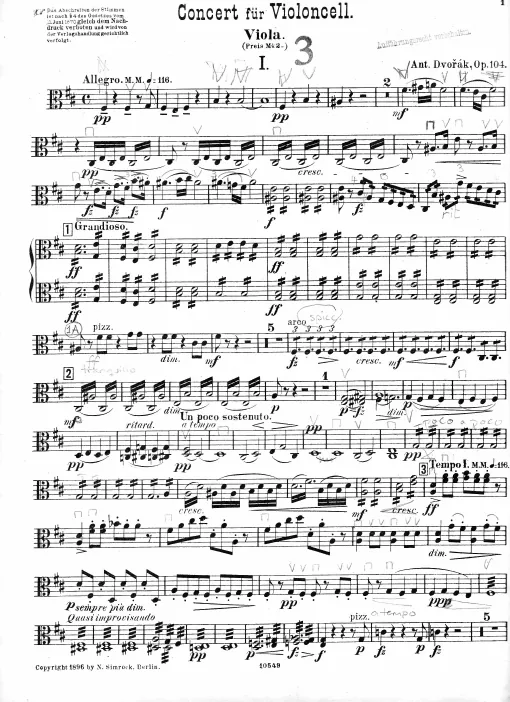 Viola