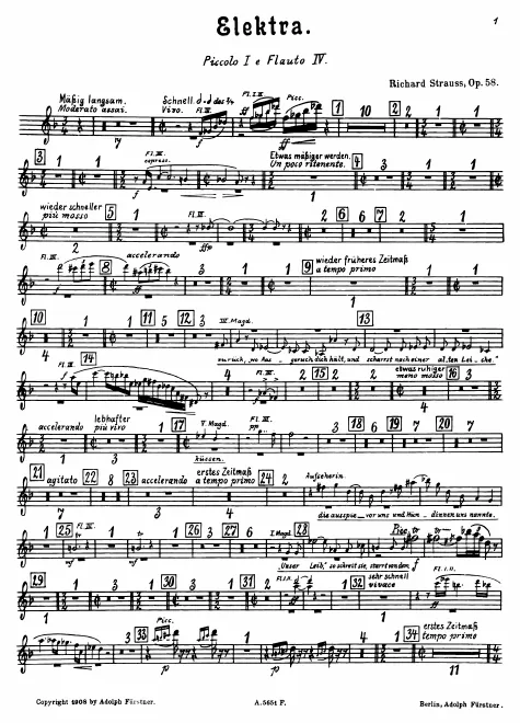 Flute 4/Piccolo 1