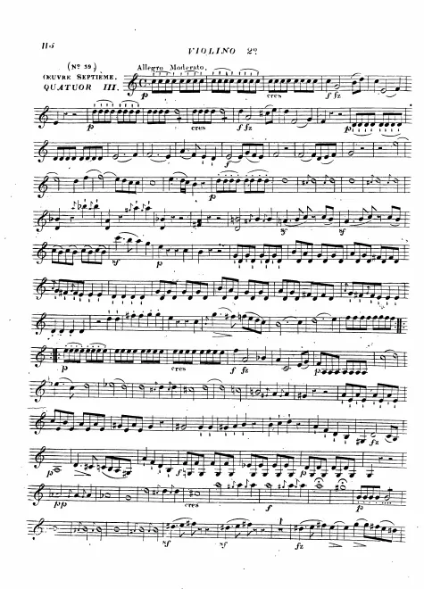 Violin 2