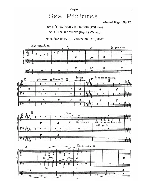 Organ