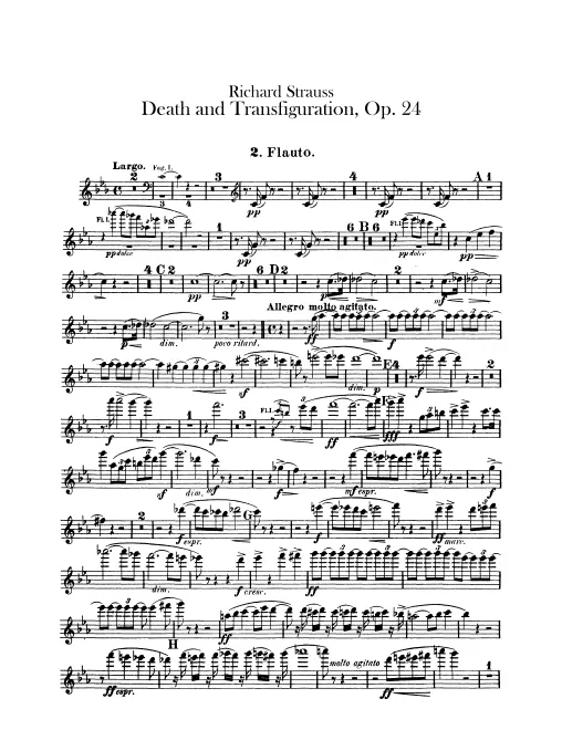 Flute 2