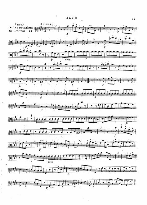 Viola