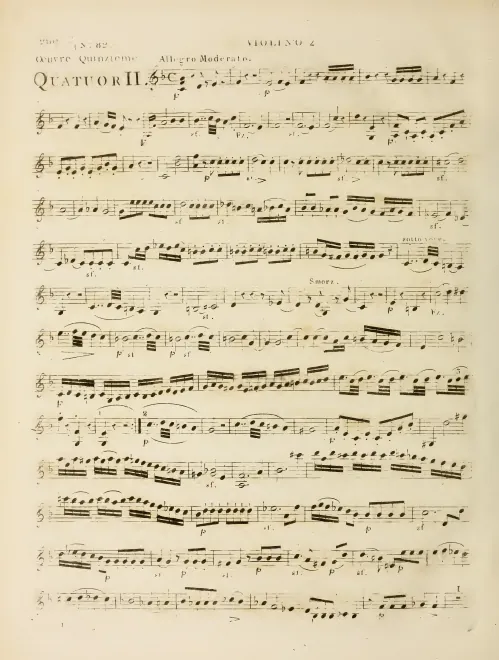 Violin 2