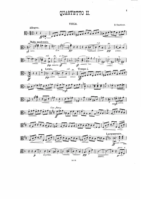 Viola