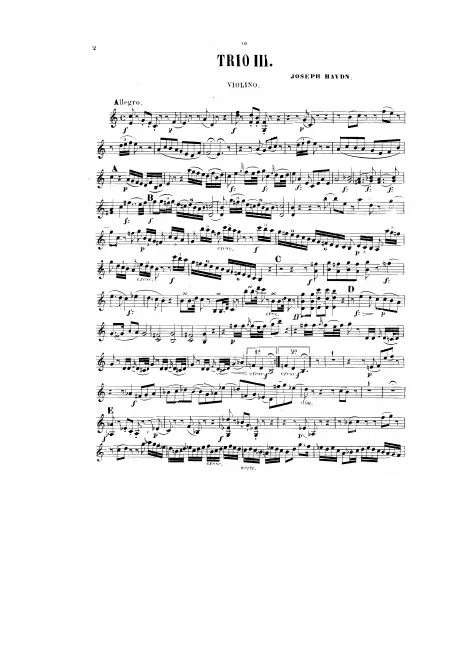 Violin