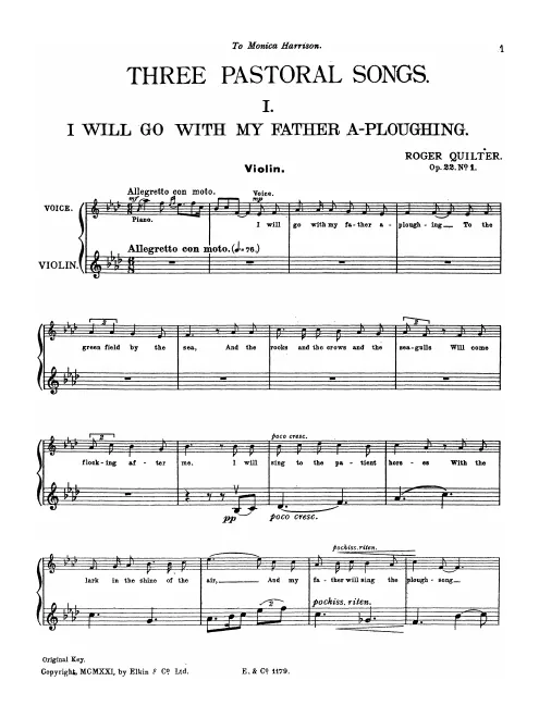 Violin (Low/Medium Voice)
